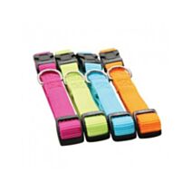 Collier nylon réglable 20 mm anis - ZOLUX