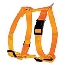 Harnais nylon réglable 10 mm orange - ZOLUX