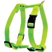 Harnais nylon réglable 20 mm anis - ZOLUX