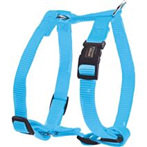 Harnais nylon réglable 20 mm turquoise - ZOLUX