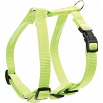 Harnais nylon réglable 25 mm anis - ZOLUX