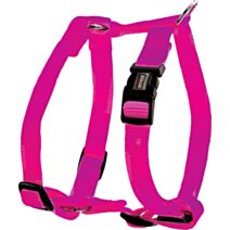 Harnais nylon réglable 25 mm fushsia - ZOLUX