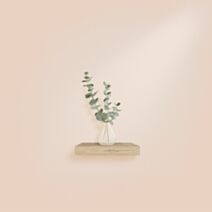 Etagère flottante MDF 25x22,8cm chêne clair - HOMEA