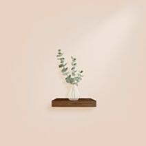 Etagère flottante MDF 25x22,8cm acacia - HOMEA