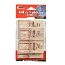 Tapette souris x5