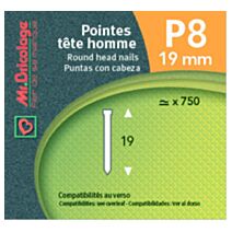 pointes p8 - 19 mm - MR BRICOLAGE