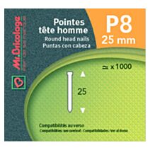 pointes p8 - 25 mm - MR BRICOLAGE