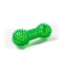 Os "pouet-pouet" translucide avec picots 15 x 55 cm TPR vert - ZAMIBO
