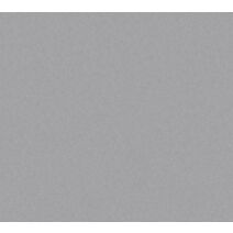 Papier Peint Vinyl Expansé Intissé Argent 5,3m² - AS CREATION