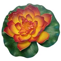 Décoration Bassin Nénuphar PondoLily Orange