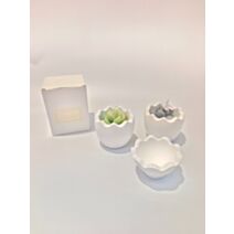 Bougie trompe l'œil 9x7cm vert