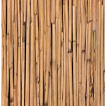 Film adhésif en rouleau Joy@fix Fantaisie bambou 45 cm x 2 m