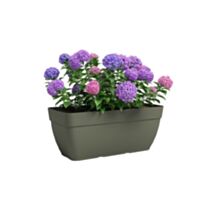 Jardinière Capri Campana XL 80 cm vert sec - ARTEVASI
