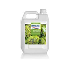 Solution à base de fongicides base clear 1L - PERMOGLAZE Fungicidal Treatment 