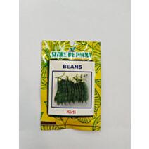 Graines de mange tout