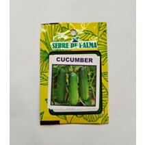 Graines de concombre vert Uday