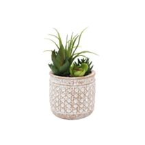 Plante artificielle succulente pot ciment D10x9cm H.19cm