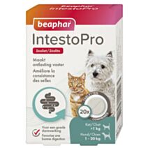 Comprimé Intestopro chien et chat x20 - BEAPHAR