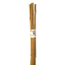 Tuteur bambou H60 cm Ø6-8 mm x10 - NATURE