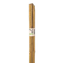 Tuteur bambou H90 cm Ø8-10 mm x7 - NATURE