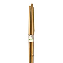 Tuteur bambou H150 cm Ø12-14 mm x4 - NATURE