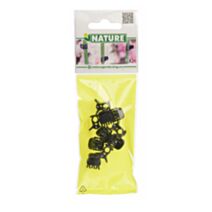 Pince tuteurage noire pour orchidées x10 - NATURE