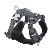 Harnais pour chien XS/S rembourré 12 mm anthracite - RED DINGO