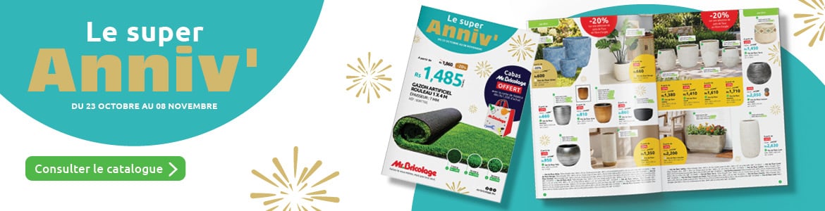 consulter le catalogue le super anniv avec des remises allant jusqu a moins trente pourcent