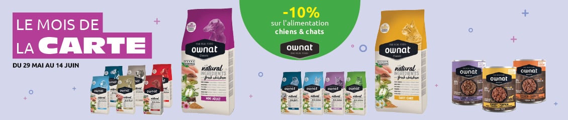 chouchoutez vos compagnons a quatre pattes avec nos offres exclusives carte de fidelite